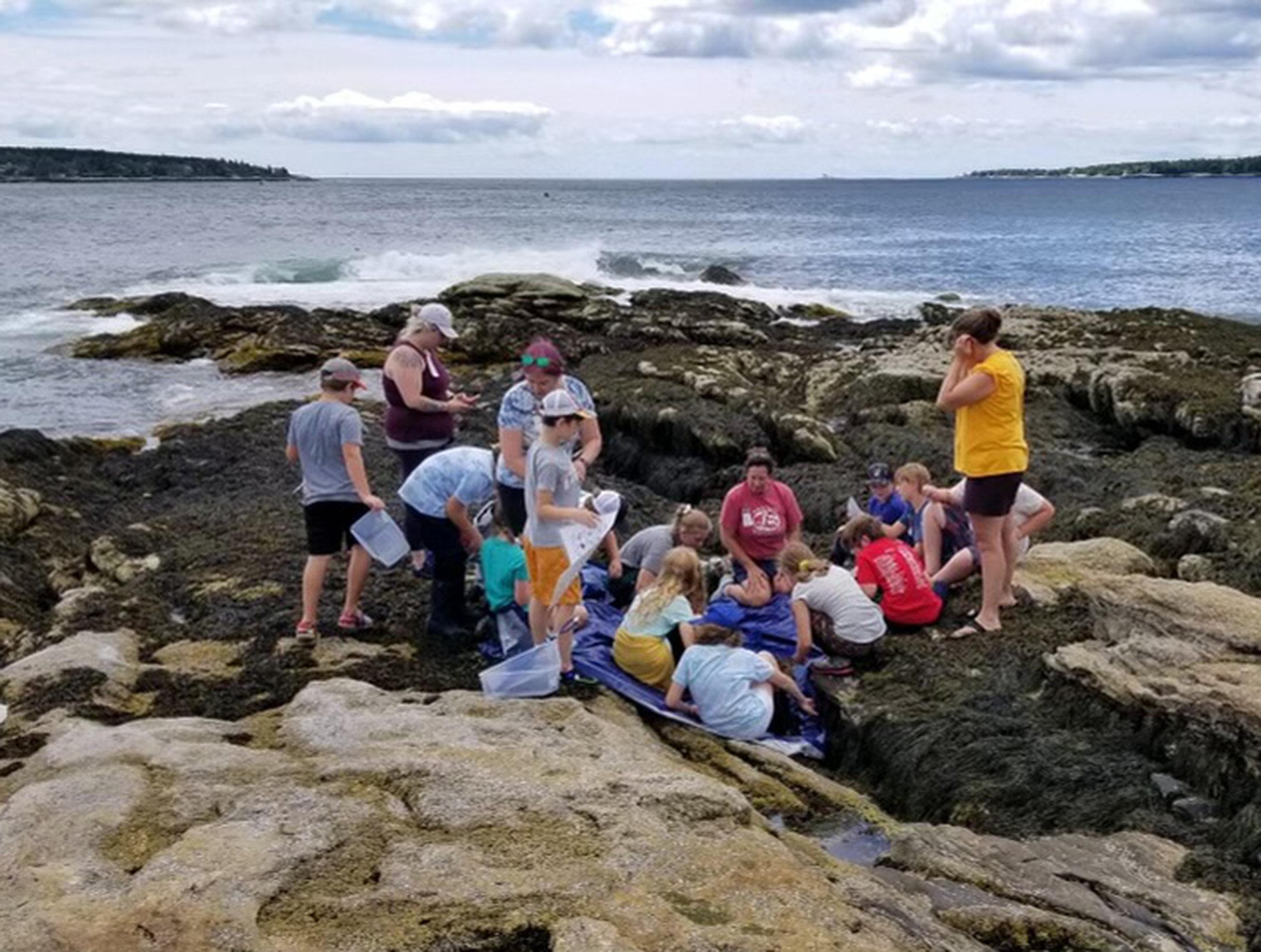 cropped Campers in tidepools People learning
